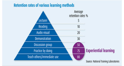 Experiential Learning Blog